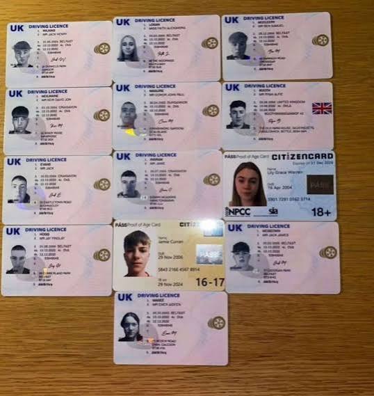 Full UK Driving Licence