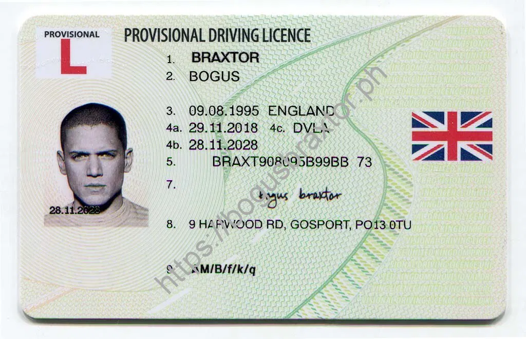 Provisional UK Driving Licence